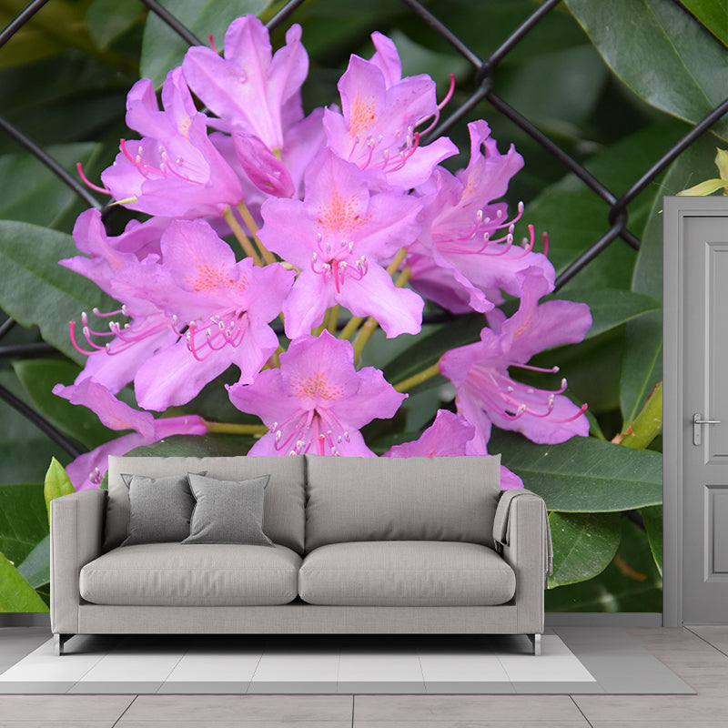 Minimalism Style Flower Wall Mural Decorative Photography for Living Room