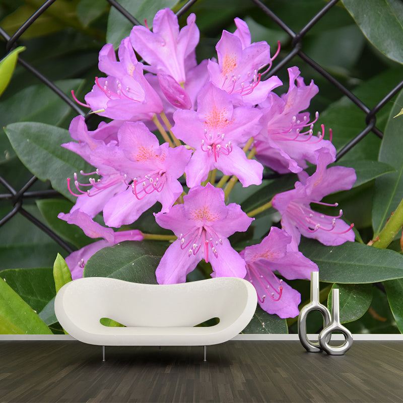 Minimalism Style Flower Wall Mural Decorative Photography for Living Room