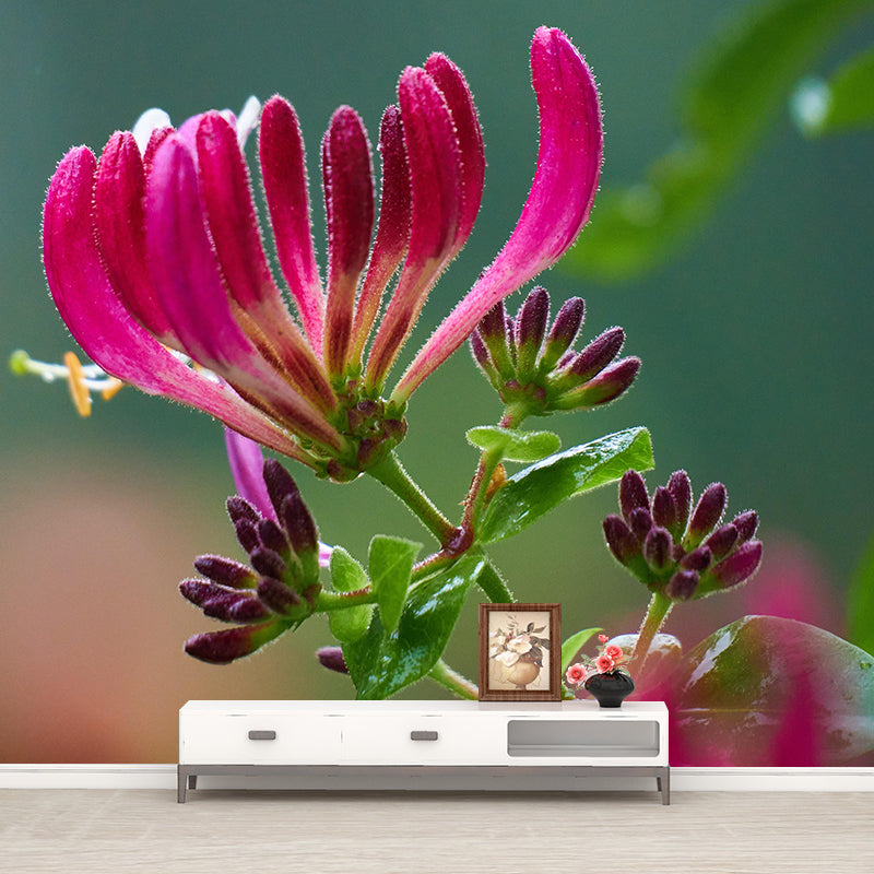 Minimalism Style Honeysuckle Wall Mural Decorative Photography for Living Room