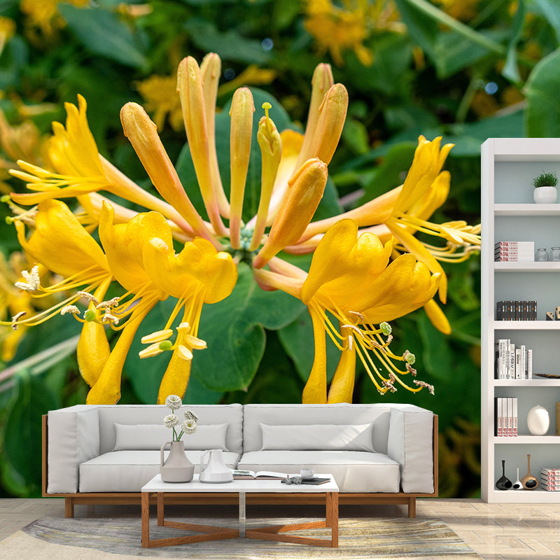 Minimalism Style Honeysuckle Wall Mural Decorative Photography for Living Room