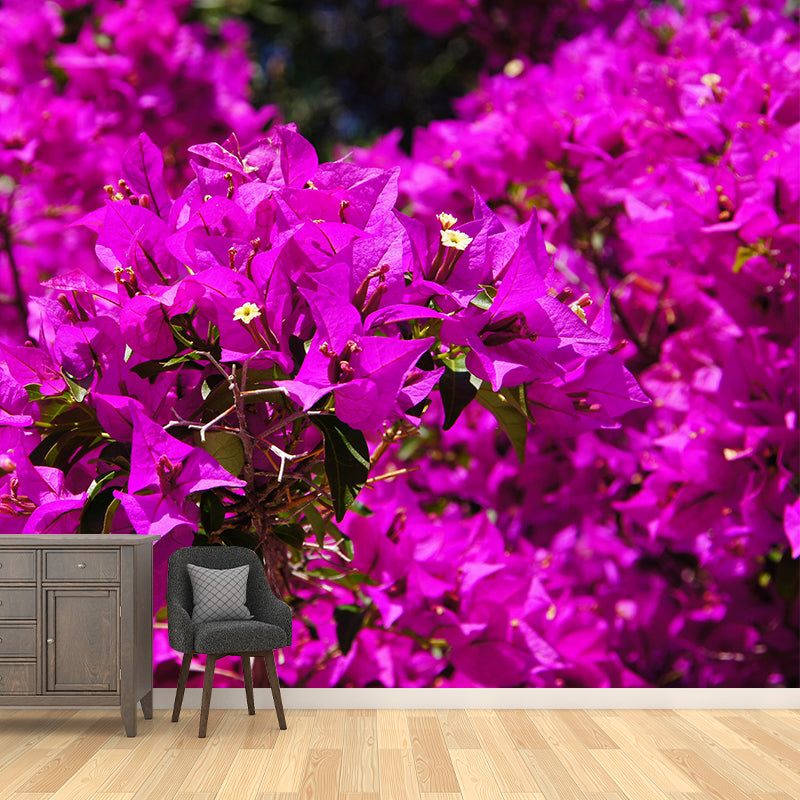 Minimalism Style Bougainvillea Wall Mural Decorative Photography for Living Room