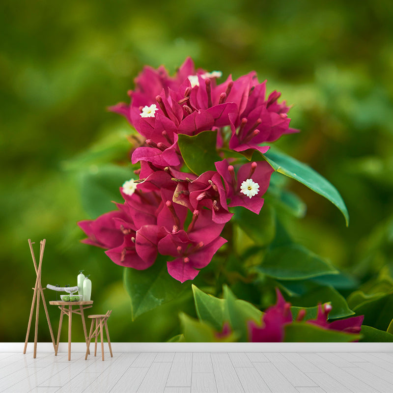 Minimalism Style Bougainvillea Wall Mural Decorative Photography for Living Room