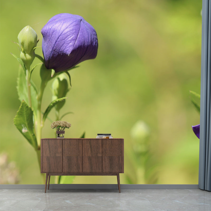 Minimalism Style Bellflower Wall Mural Decorative Photography for Living Room