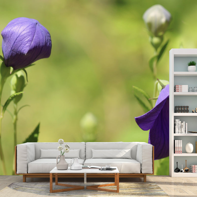 Minimalism Style Bellflower Wall Mural Decorative Photography for Living Room