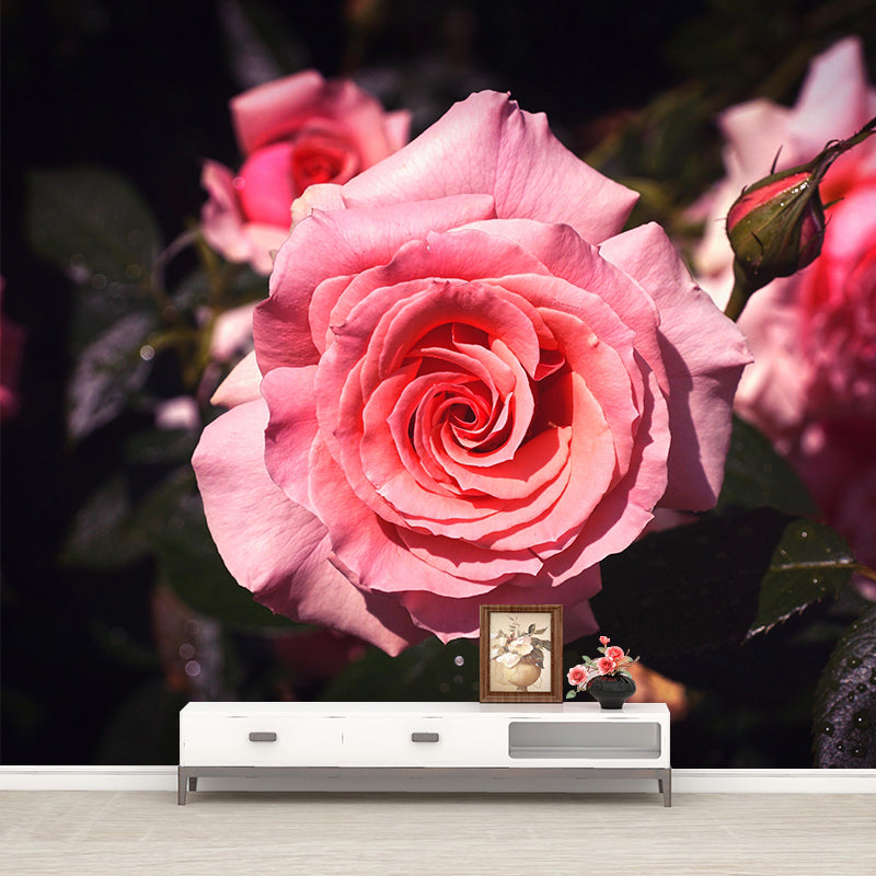 Minimalism Style Roses Wall Mural Decorative Photography for Living Room