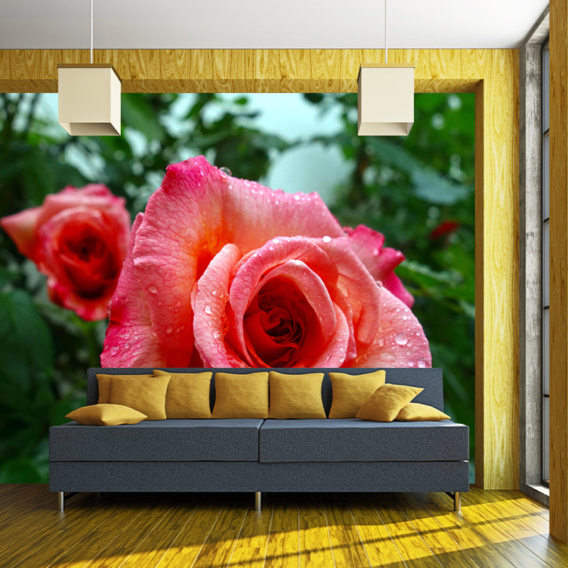 Minimalism Style Roses Wall Mural Decorative Photography for Living Room