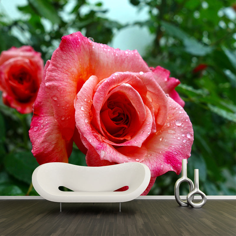 Minimalism Style Roses Wall Mural Decorative Photography for Living Room