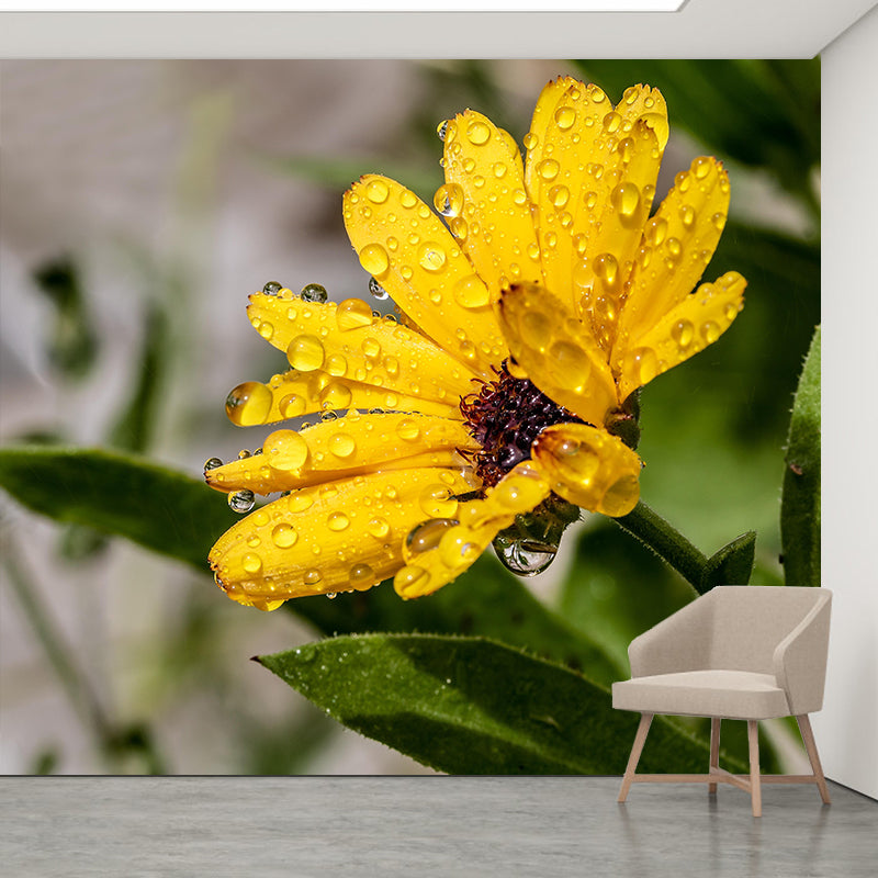 Customized Marigold Mural Wall Covering Eco-friendly Wallpaper for Bedroom