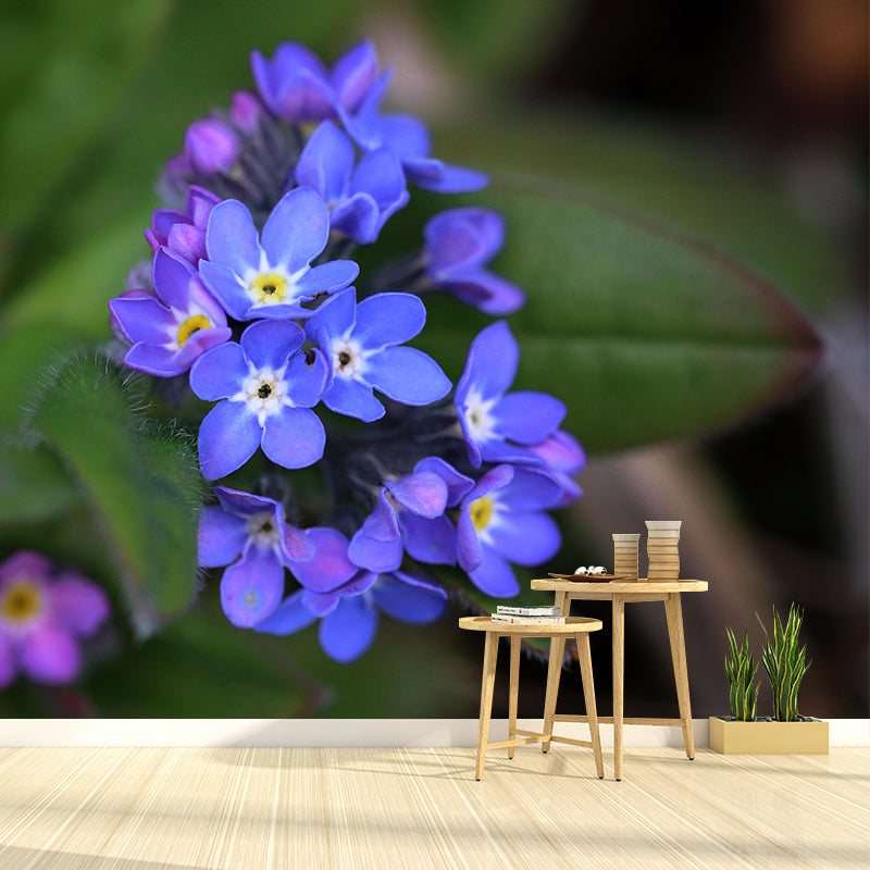Customized Forget-Me-Not Mural Wall Covering Eco-friendly Wallpaper for Bedroom