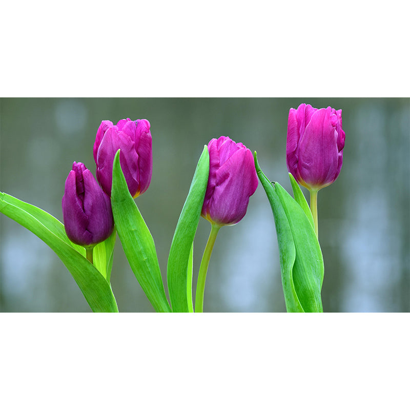 Customized Tulips Mural Wall Covering Eco-friendly Wallpaper for Bedroom