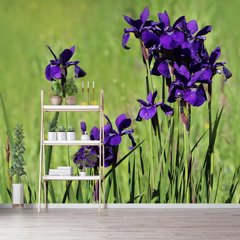 Customized Iris Mural Wall Covering Eco-friendly Wallpaper for Bedroom