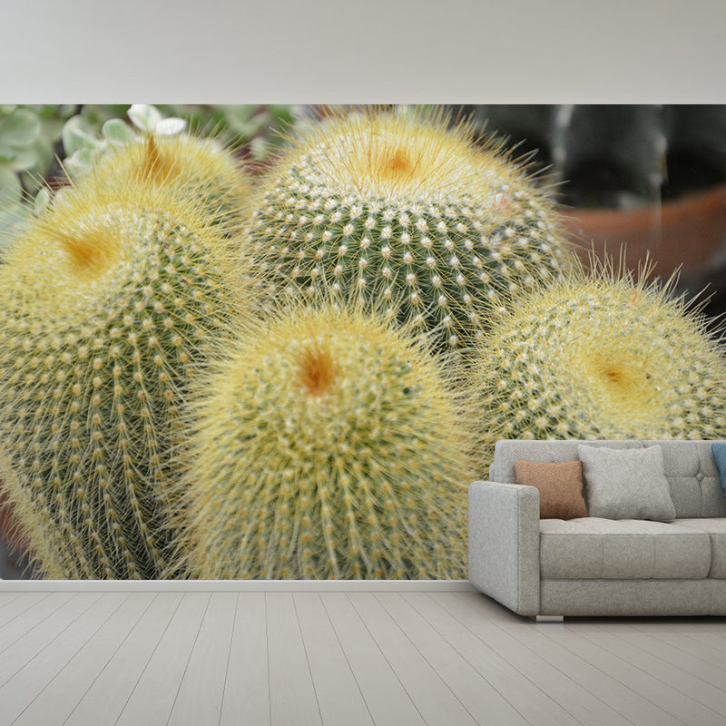 Cactus Plant Murals Wallpaper for Reading Room Bedroom, Custom Size Available
