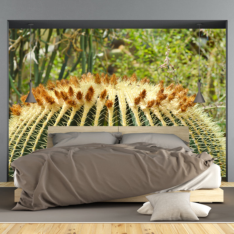 Cactus Plant Murals Wallpaper for Reading Room Bedroom, Custom Size Available