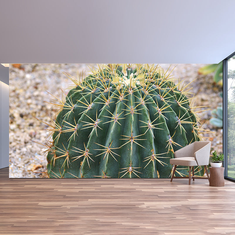 Cactus Plant Murals Wallpaper for Reading Room Bedroom, Custom Size Available