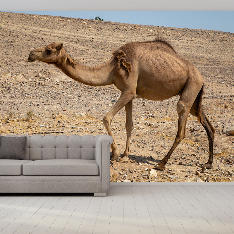Desert Camel Wallpaper for Bedroom, Waterproofing, Custom Size Available