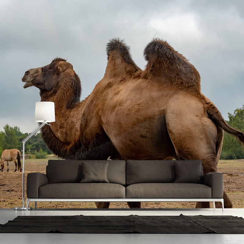 Desert Camel Wallpaper for Bedroom, Waterproofing, Custom Size Available