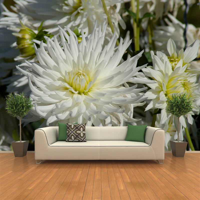 Bright Chrysanthemum Mural for Modern Living Room, Custom Size Available