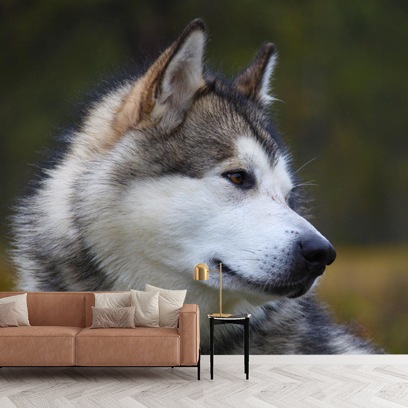Lovely Alaskan Dog Mural Wall Decor Living Room Wall Covering for Decoration