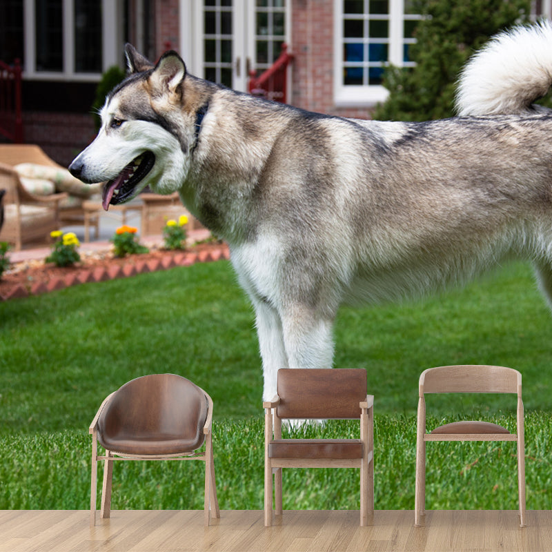 Lovely Alaskan Dog Mural Wall Decor Living Room Wall Covering for Decoration