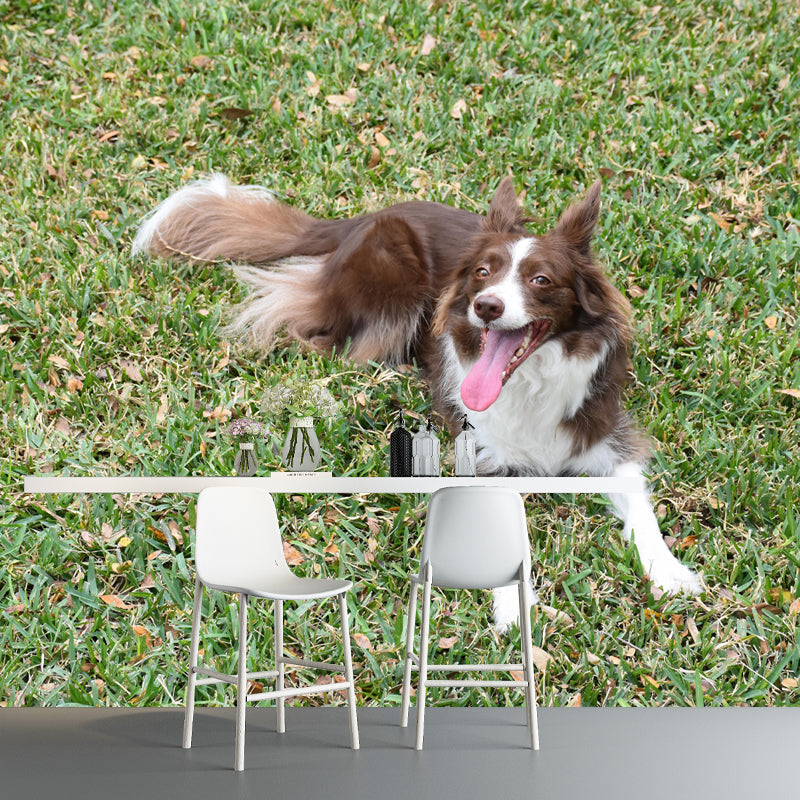 Lovely Border Collie Mural Wall Decor Living Room Wall Covering for Decoration