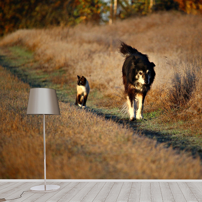 Lovely Border Collie Mural Wall Decor Living Room Wall Covering for Decoration