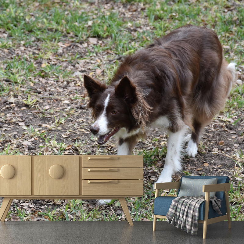 Lovely Border Collie Mural Wall Decor Living Room Wall Covering for Decoration
