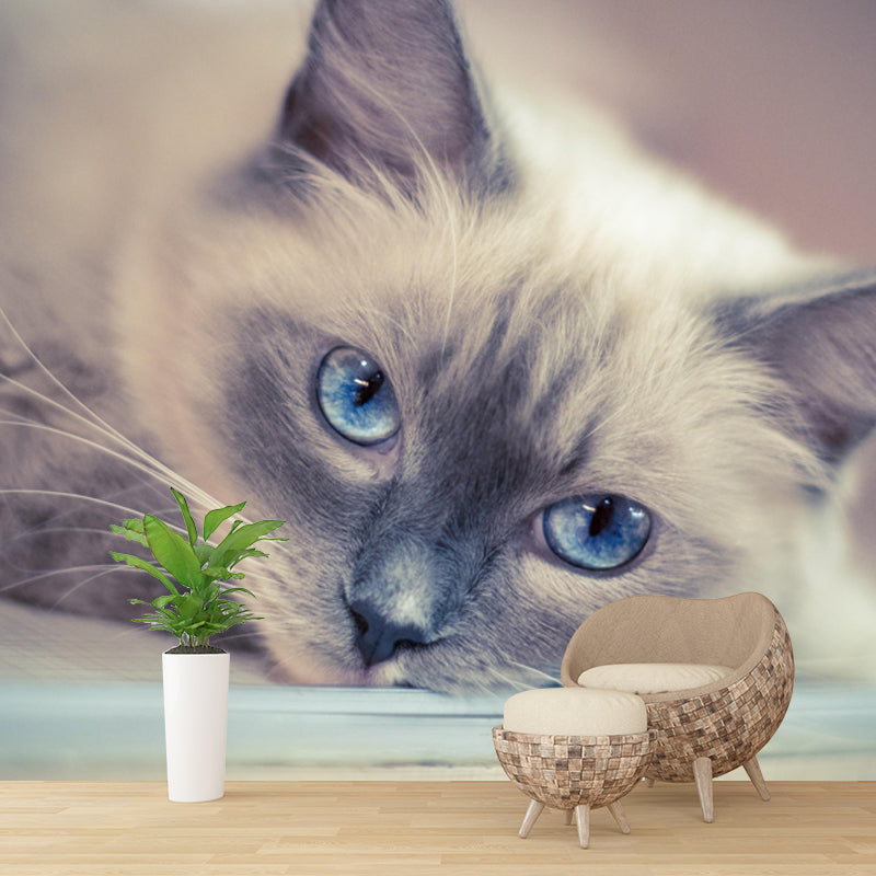 Lovely Cat Mural Wall Decor Living Room Mildew Resistant for Decoration