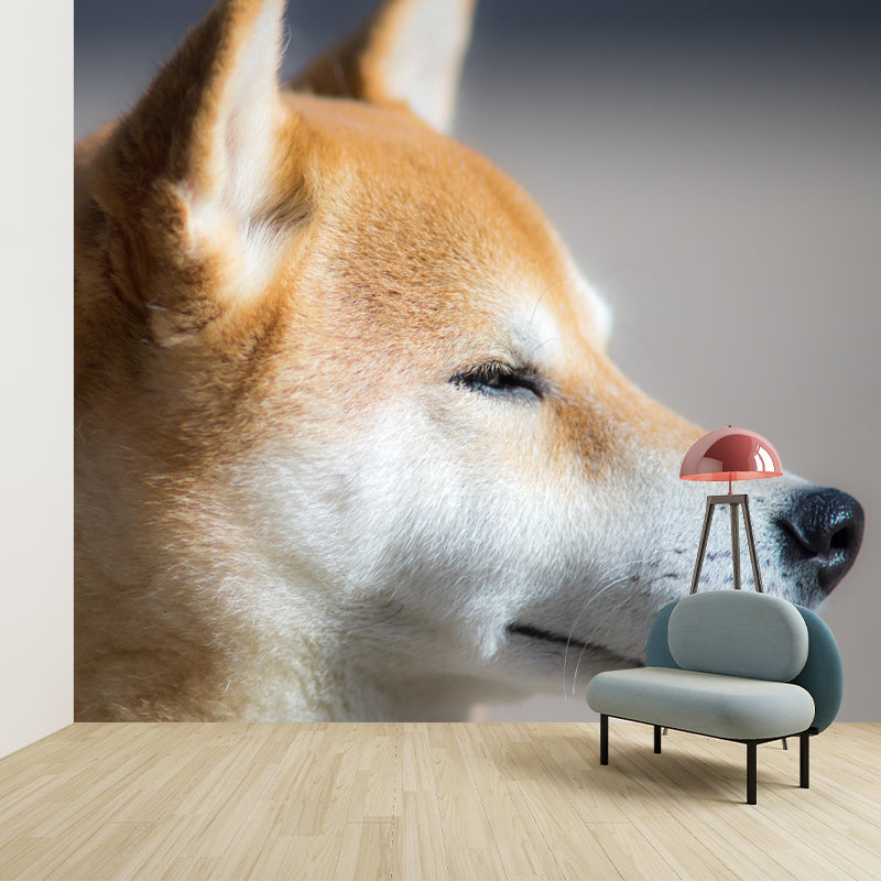 Shiba Inu Mural Environment Friendly Wallpaper Home Decoration for Bedroom