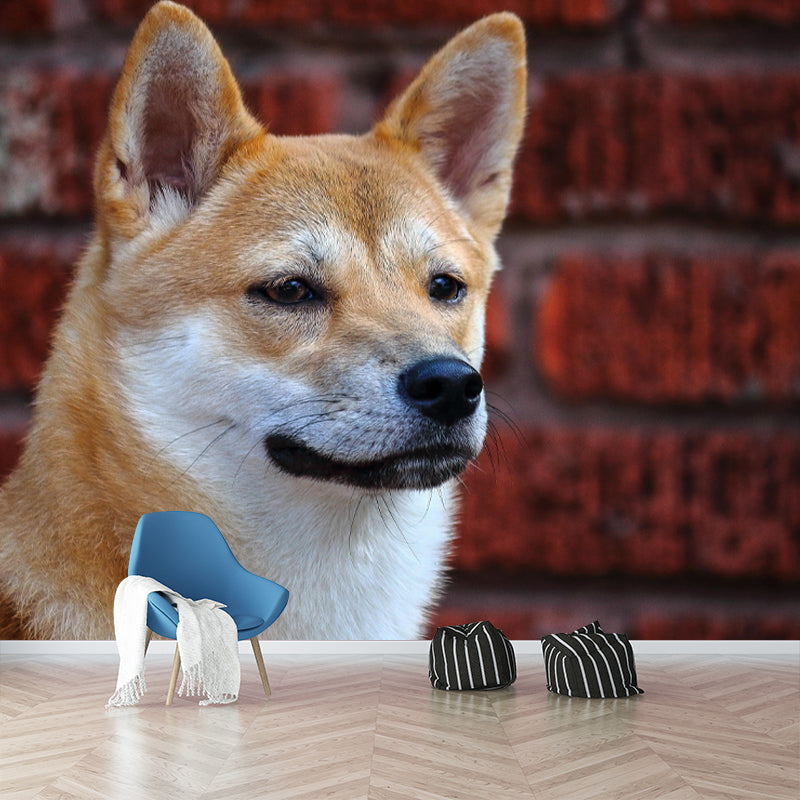 Shiba Inu Mural Environment Friendly Wallpaper Home Decoration for Bedroom