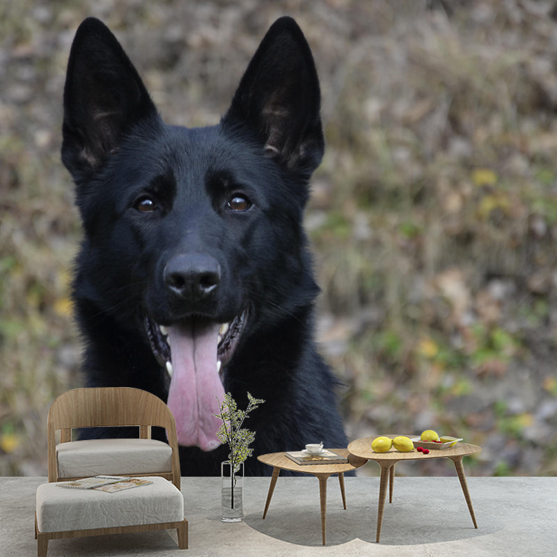 Handsome German Shepherd Mural Wall Decor Living Room Wall Covering for Decoration