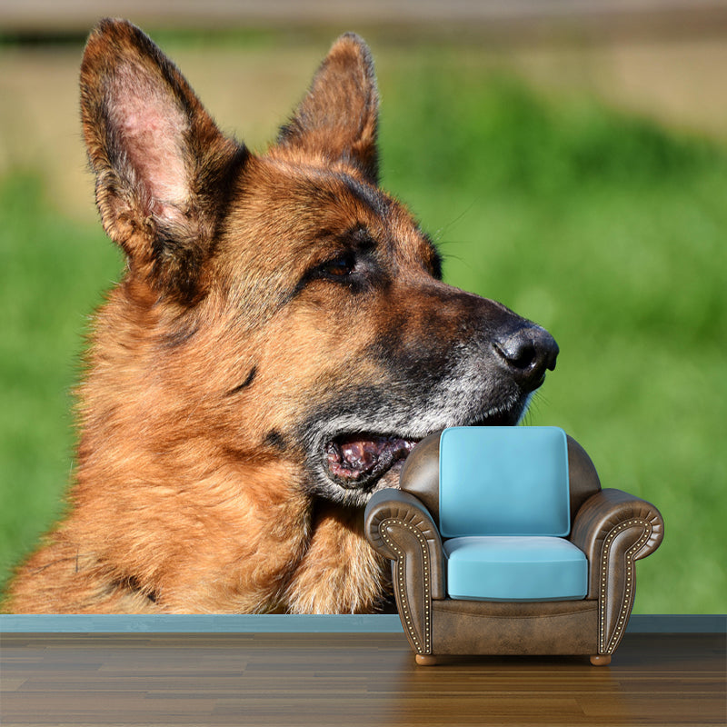 Handsome German Shepherd Mural Wall Decor Living Room Wall Covering for Decoration