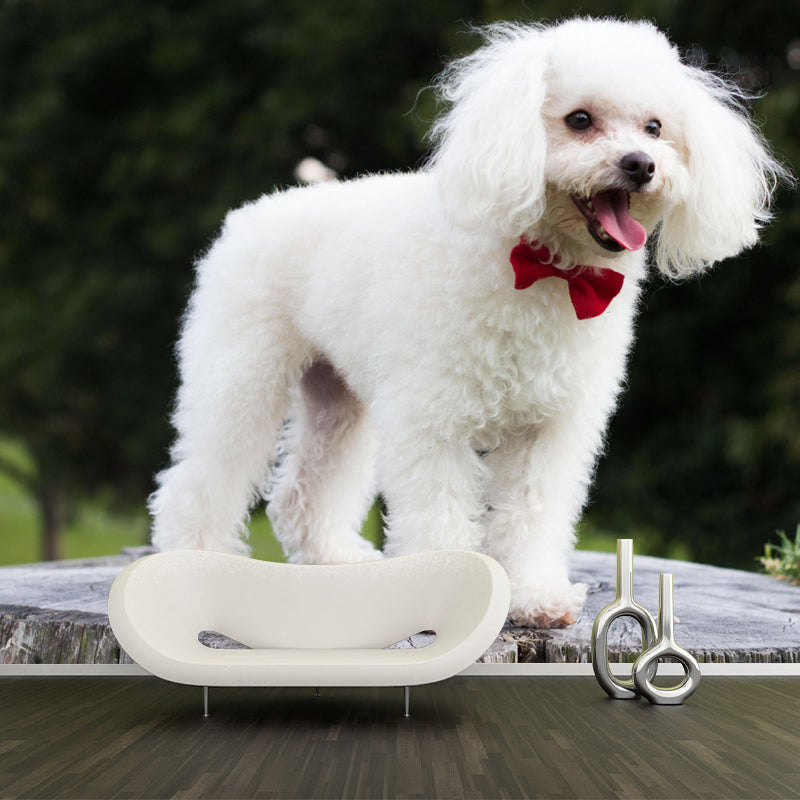 Lovely Poodle Mural Wall Decor Living Room Wall Covering for Decoration