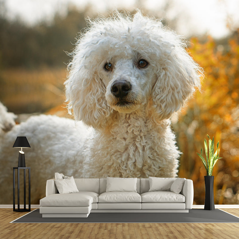 Lovely Poodle Mural Wall Decor Living Room Wall Covering for Decoration