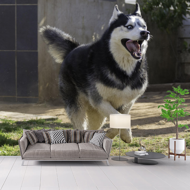 Lovely Husky Mural Wall Decor Living Room Wall Covering for Decoration