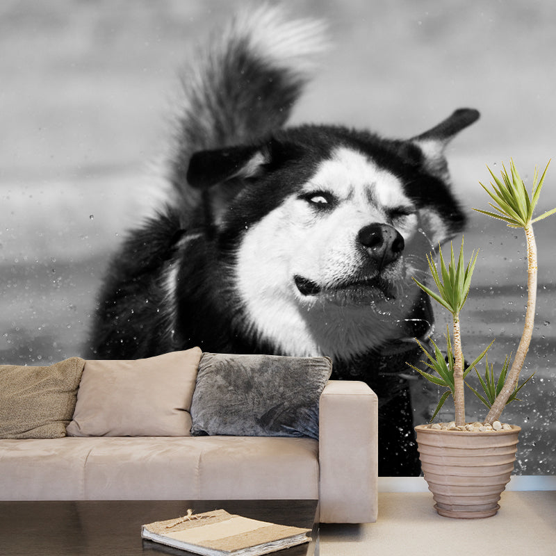 Lovely Husky Mural Wall Decor Living Room Wall Covering for Decoration