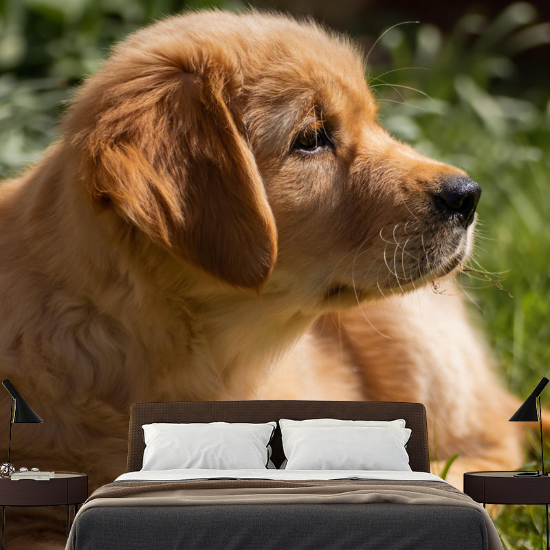 Lovely Golden Retriever Mural Wall Decor Living Room Wall Covering for Decoration