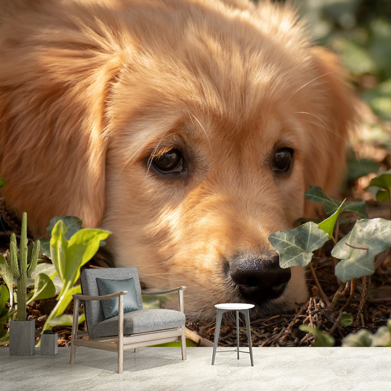 Lovely Golden Retriever Mural Wall Decor Living Room Wall Covering for Decoration