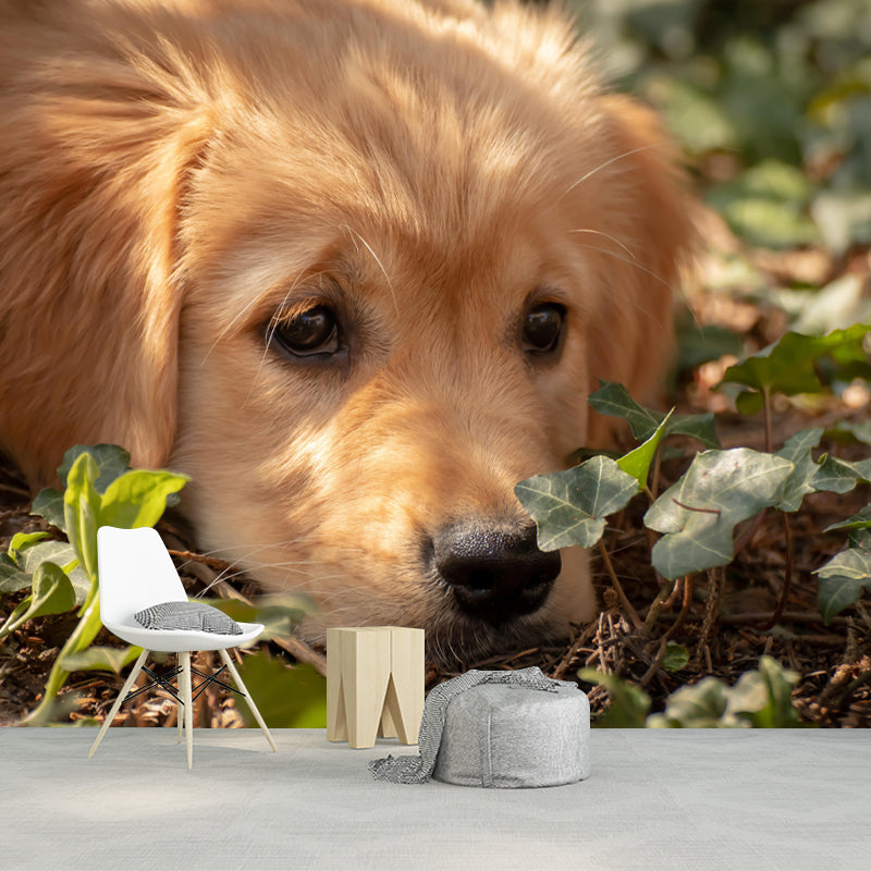 Lovely Golden Retriever Mural Wall Decor Living Room Wall Covering for Decoration