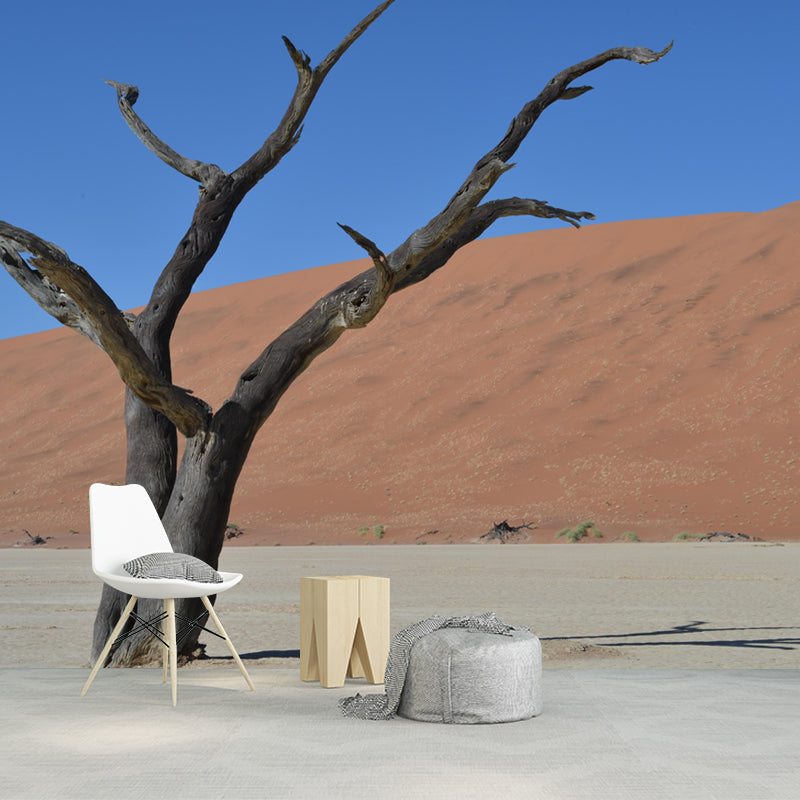 Desert Landscape Mural Photography Wall Decor for Sitting Room