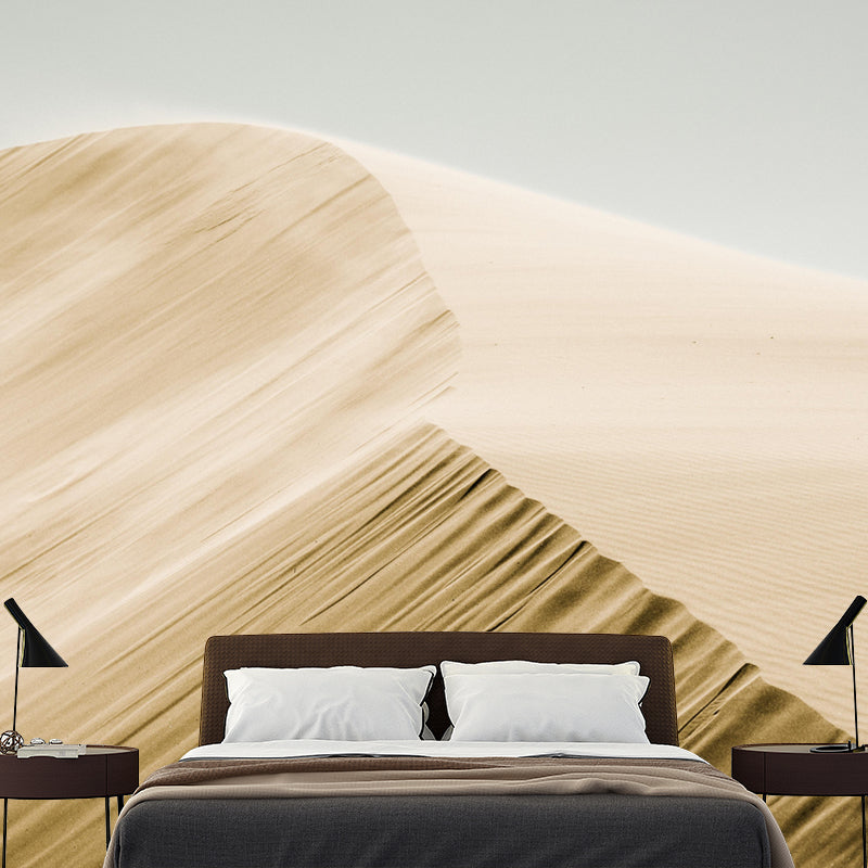 Desert Landscape Mural Horizontal Photography Wall Decor for Living Room