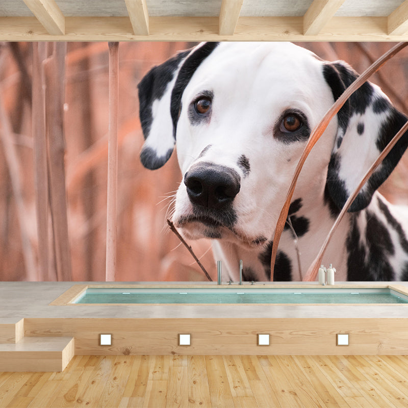 Horizontal Photography Dalmatians Mural Stain Resistant Wall Art for Living Room