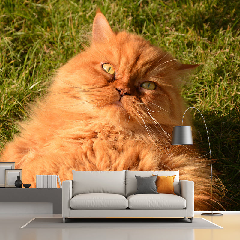 Horizontal Photography Persian Cat Mural Stain Resistant Wall Art for Living Room