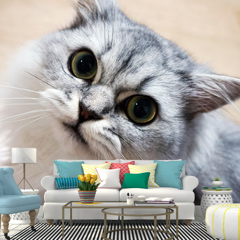 Horizontal Photography Persian Cat Mural Stain Resistant Wall Art for Living Room