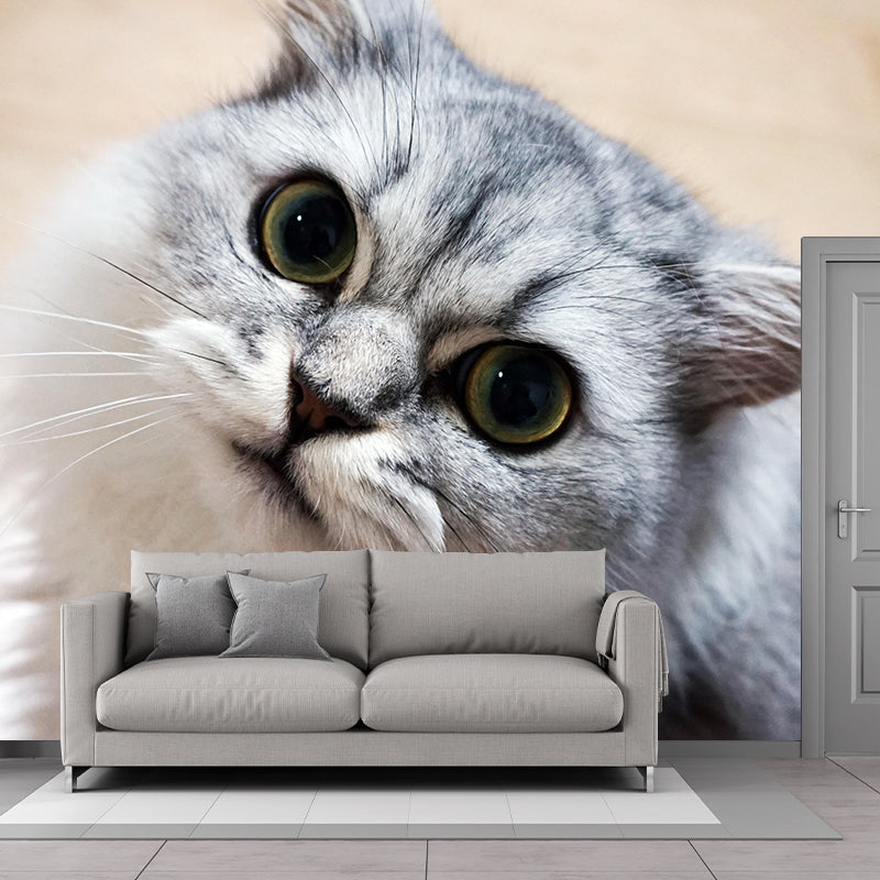 Horizontal Photography Persian Cat Mural Stain Resistant Wall Art for Living Room