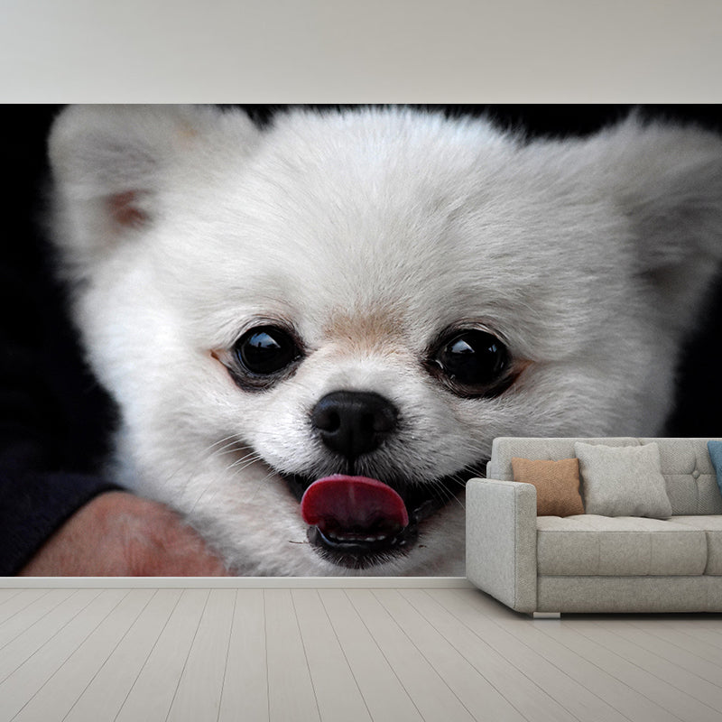 Horizontal Photography Pomeranian Mural Stain Resistant Wall Art for Living Room