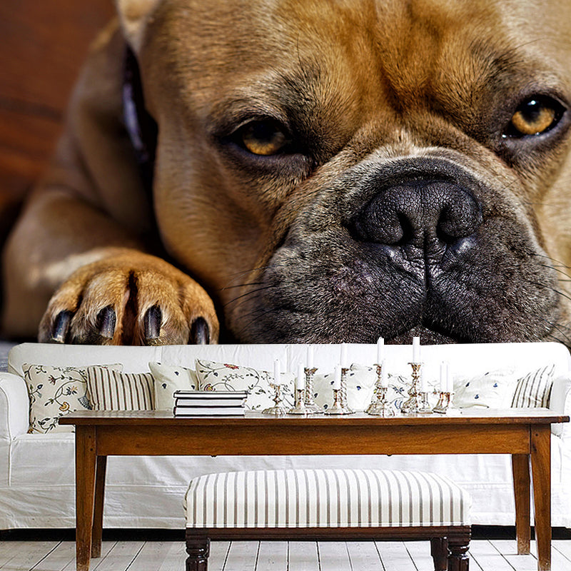 Horizontal Photography French Bulldog Mural Stain Resistant Wall Art for Bedroom