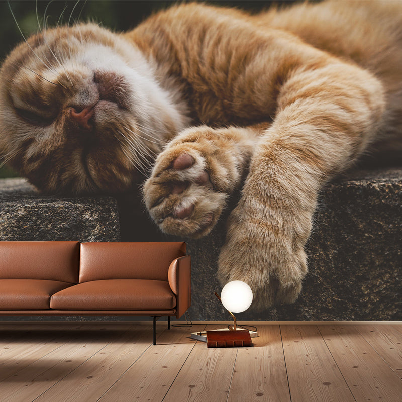 Horizontal Photography Orange Cat Mural Stain Resistant Wall Art for Living Room