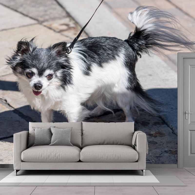 Horizontal Photography Chihuahua Mural Stain Resistant Wall Art for Living Room