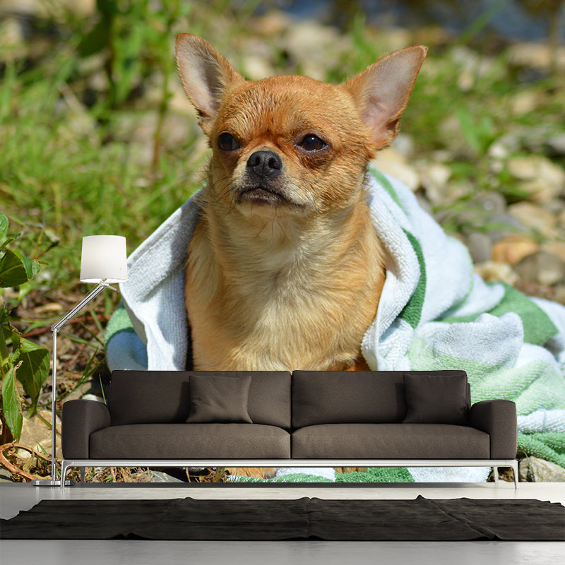 Horizontal Photography Chihuahua Mural Stain Resistant Wall Art for Living Room