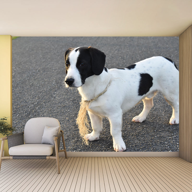Horizontal Photography Lovely Dog Mural Stain Resistant Wall Art for Living Room